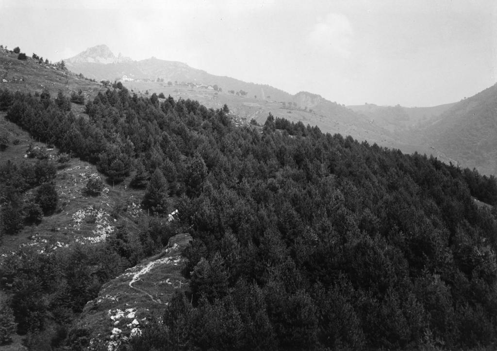 L'Altopiano di Selvino · Historify