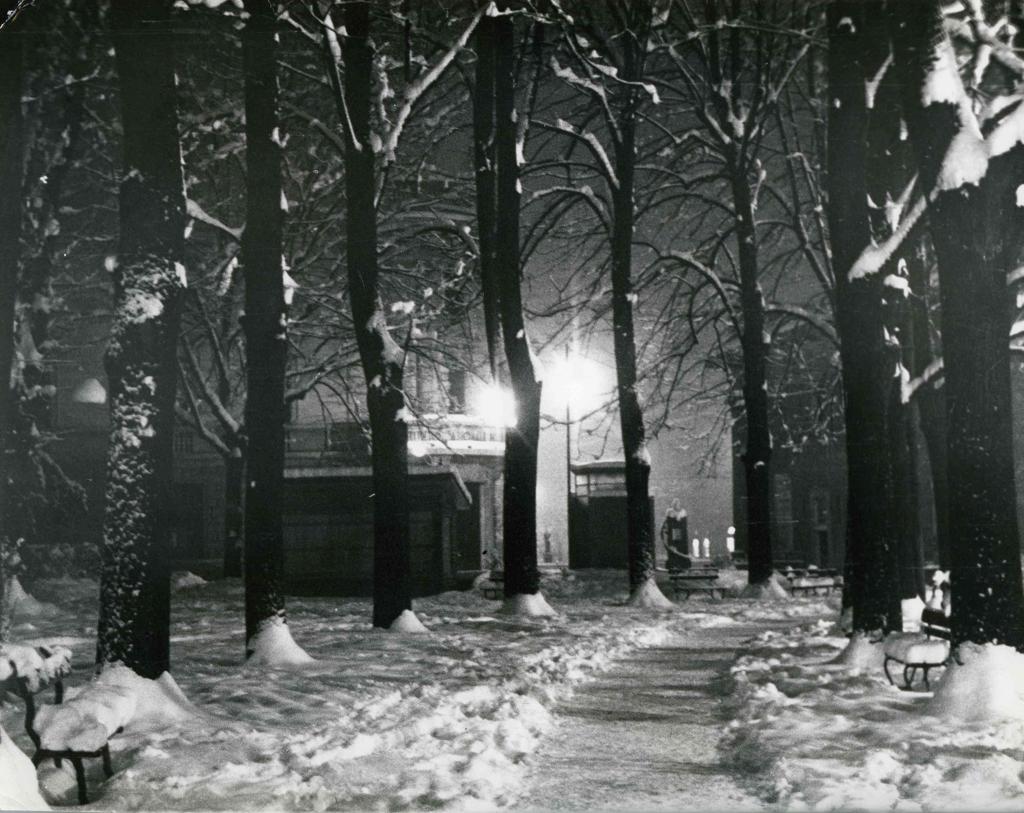 Bergamo Innevata · Historify