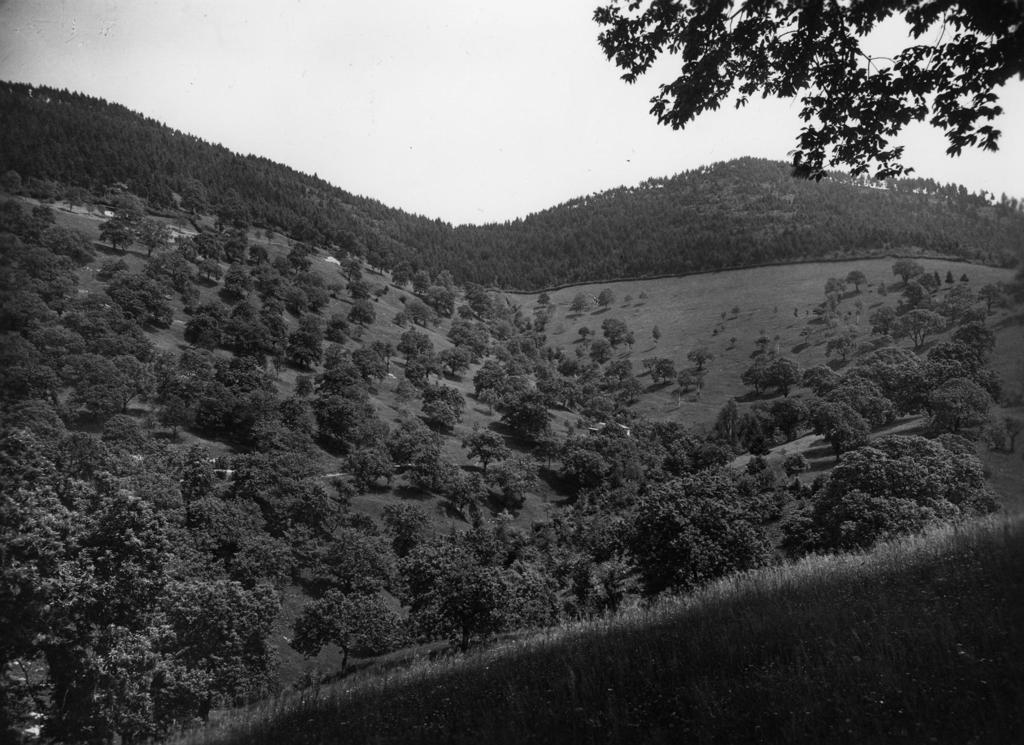 Montagne di Vigolo · Historify