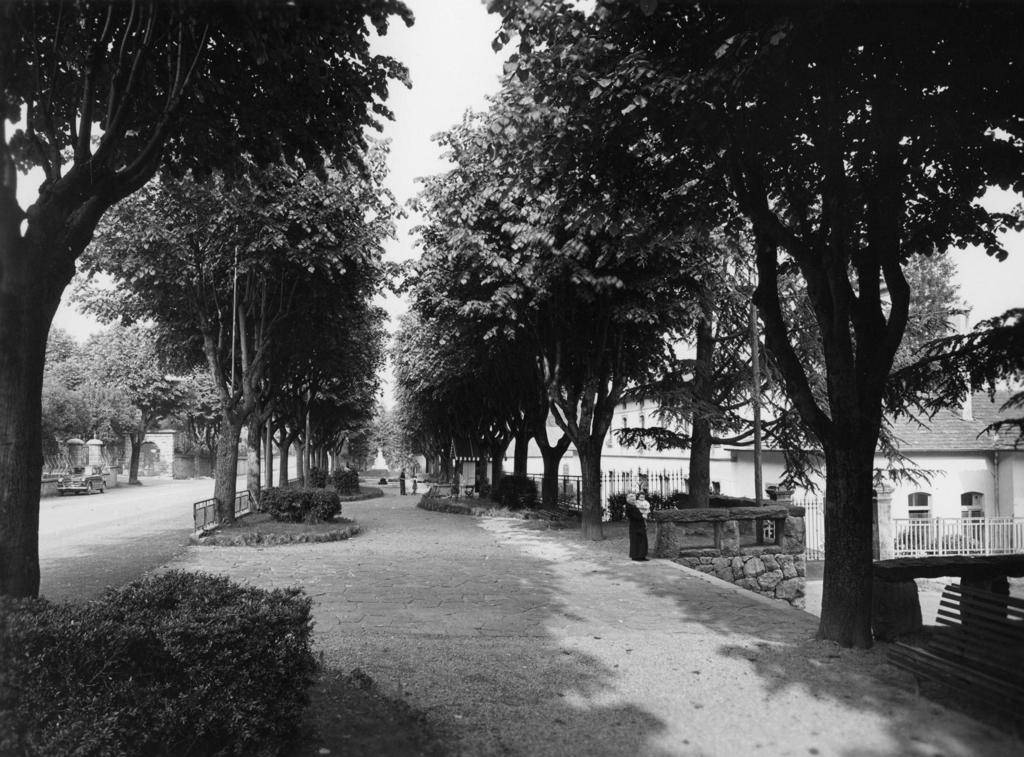 Viale alberato a Clusone · Historify