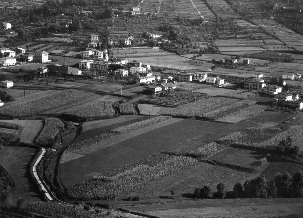 Colli bergamaschi · Historify