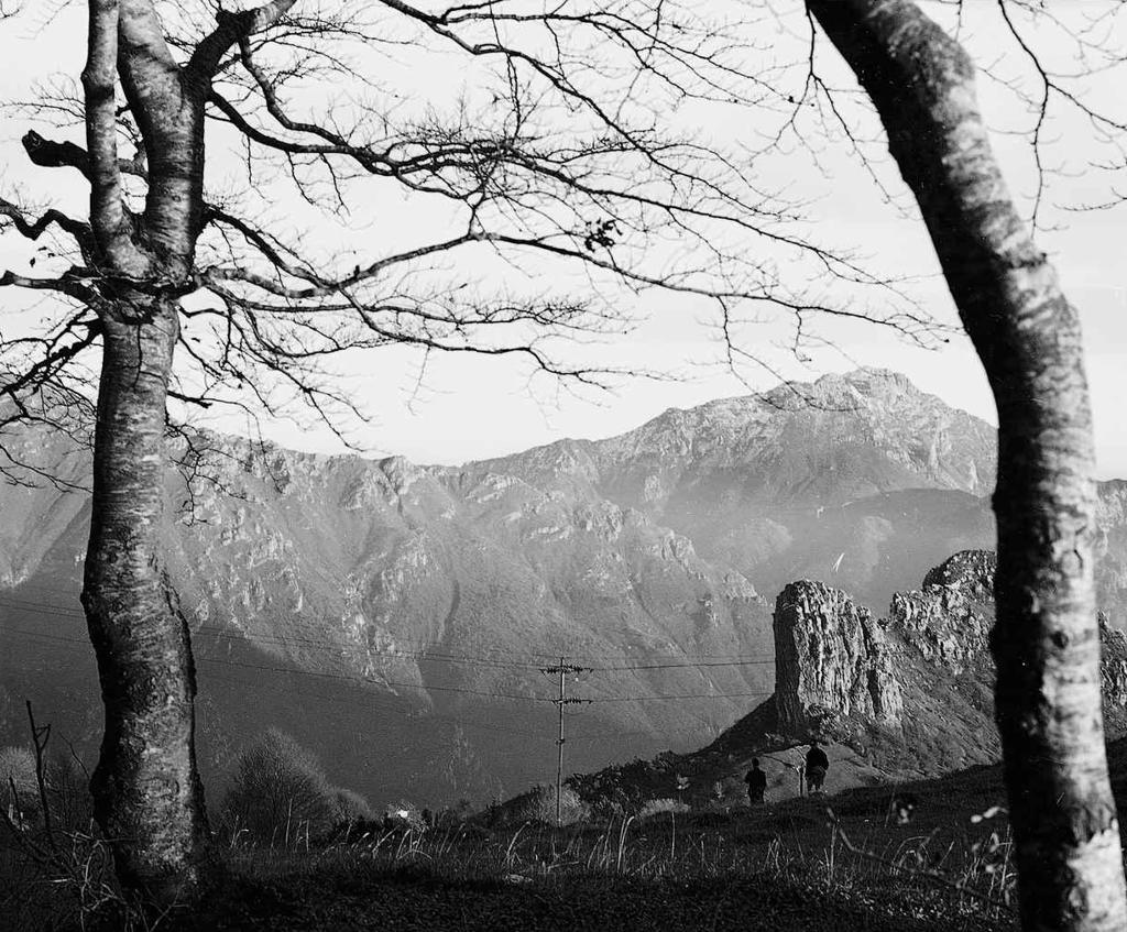 Paesaggio · Historify
