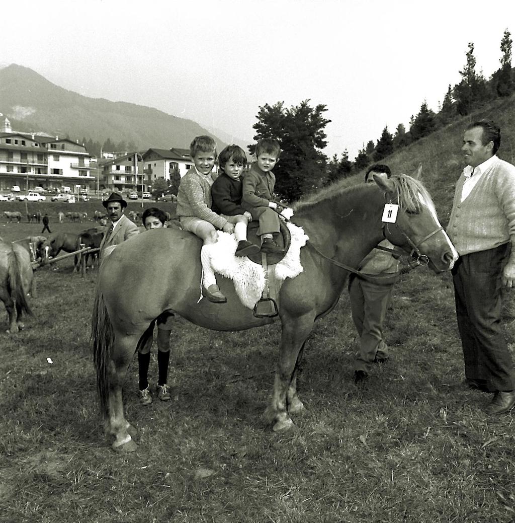Come È Bello Cavalcare Il Cavallo Avelignese · Historify