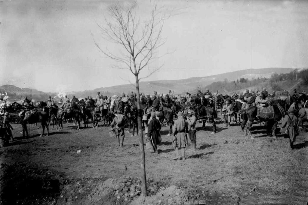 Soldati A Cavallo · Historify