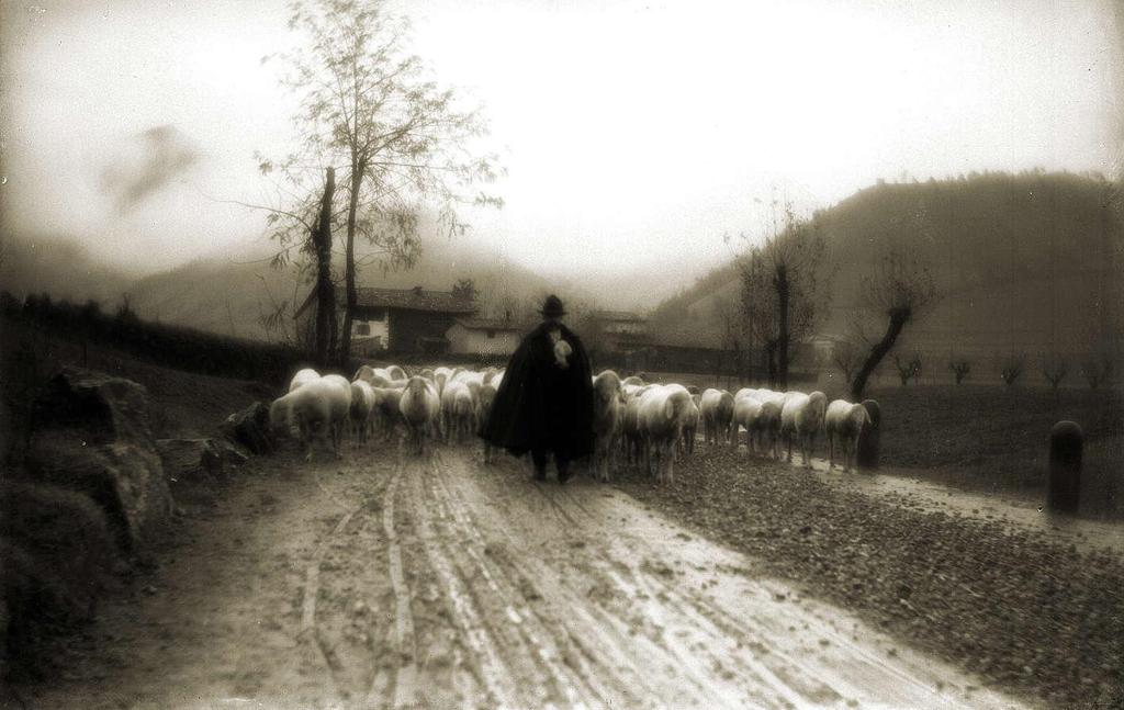 Verso L'Ovile · Historify