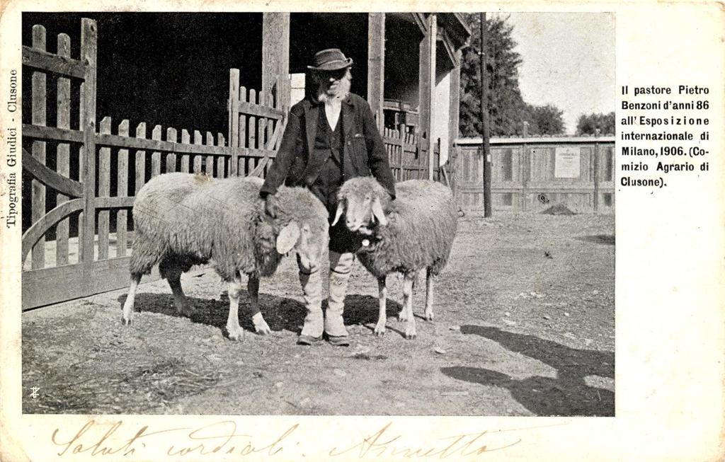 1906-Pastore Clusonese Ad Una Mostra A Milano · Historify