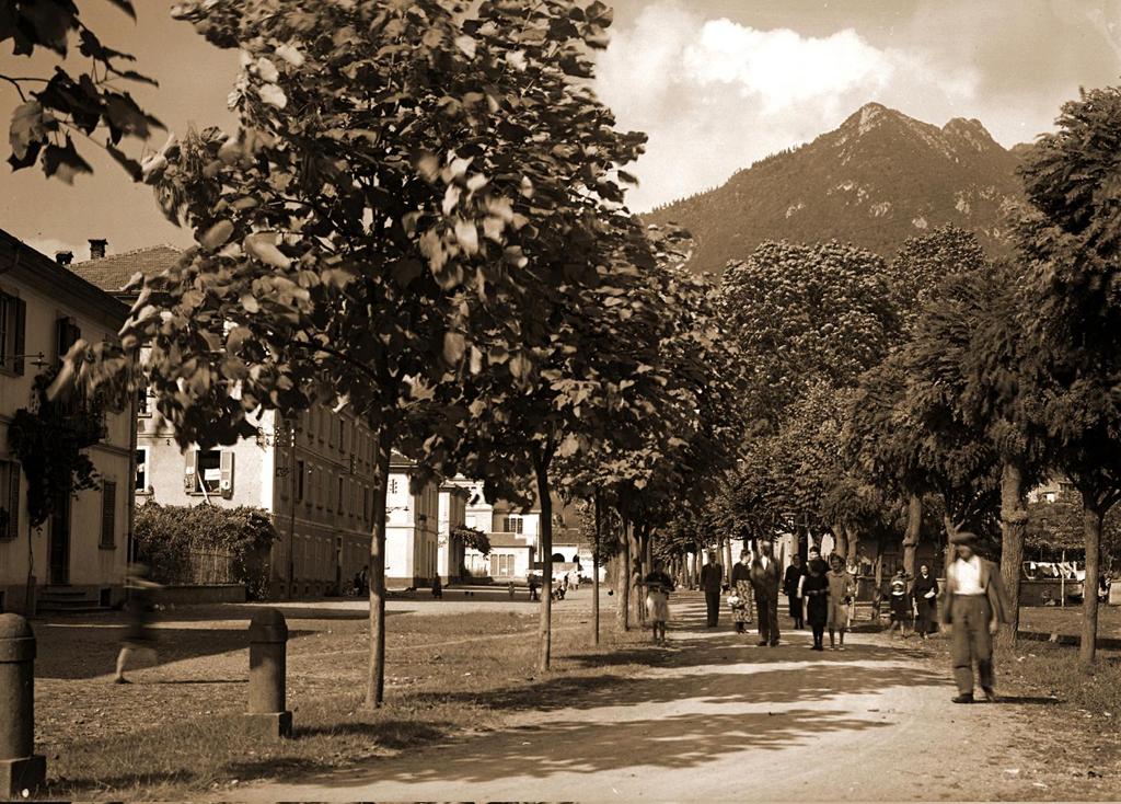 Un Viale Ai Palazzi A Villa D'Ogna · Historify