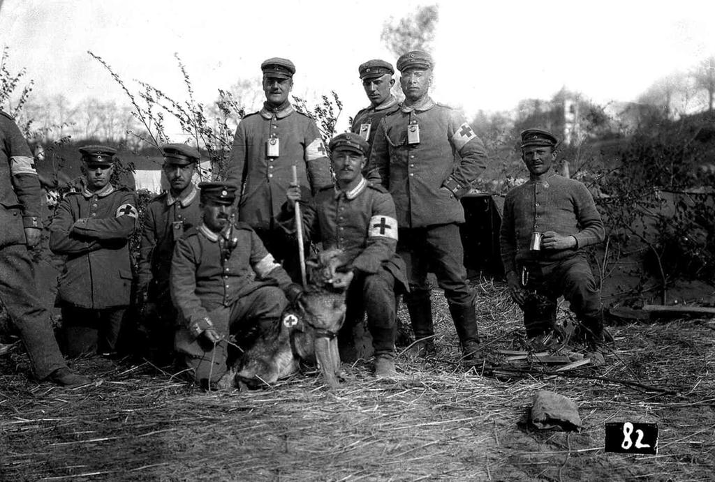 Croce Rossa · Historify