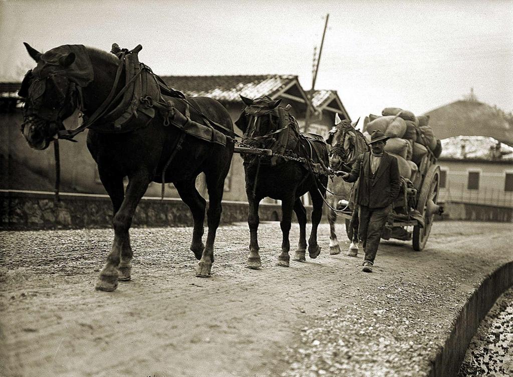 Trasporto Della Farina · Historify
