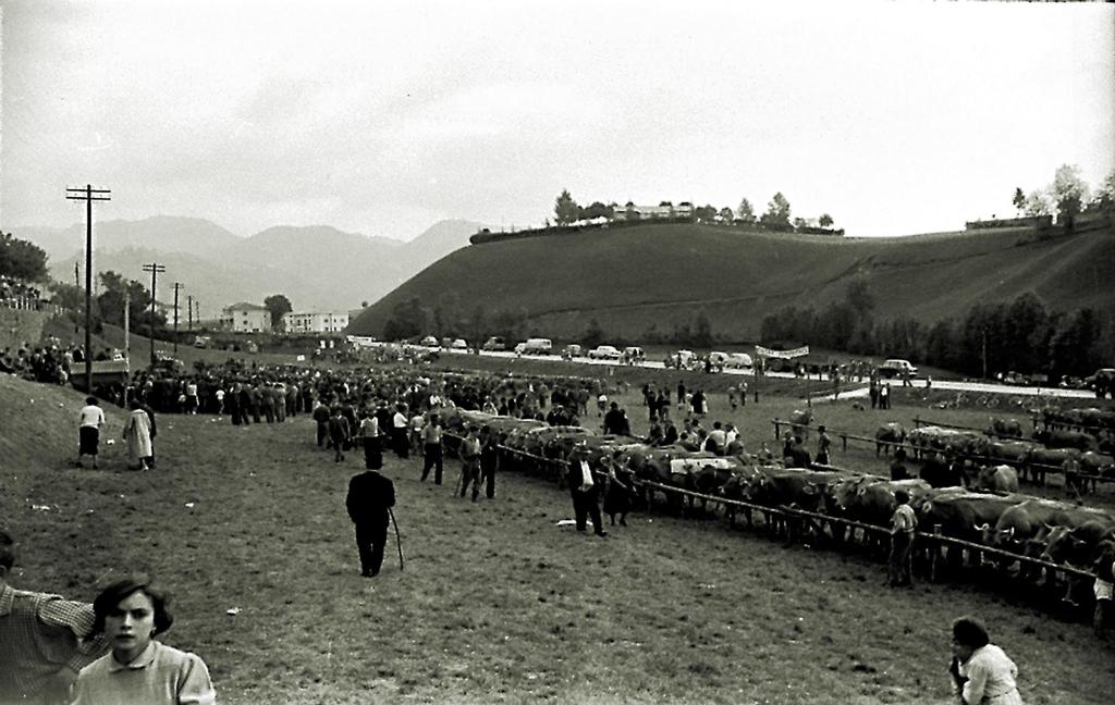 Veduta Della Mostra Agricola · Historify