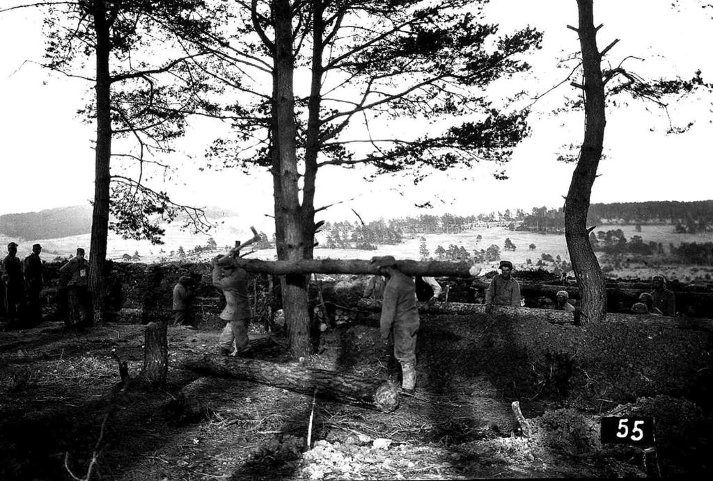 Soldati-Falegnami · Historify