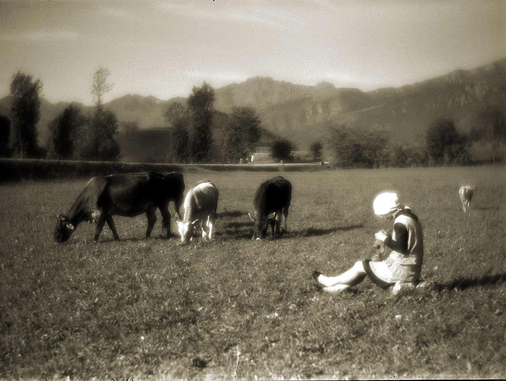 Pascolo · Historify