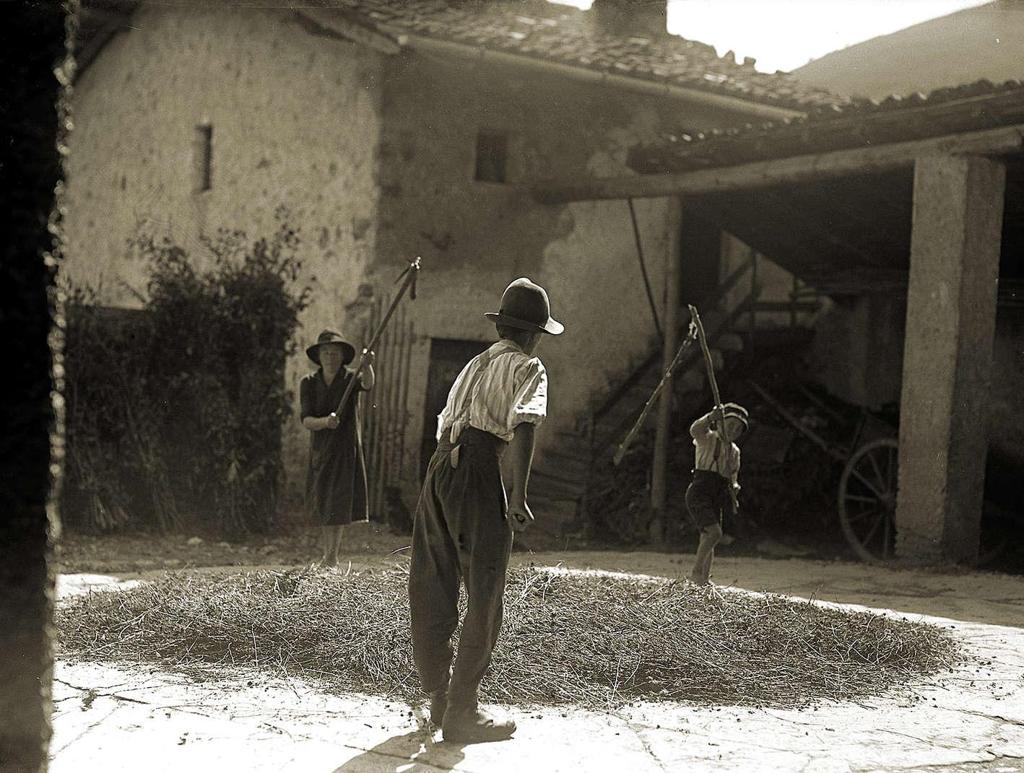 La Battitura Del Lino · Historify