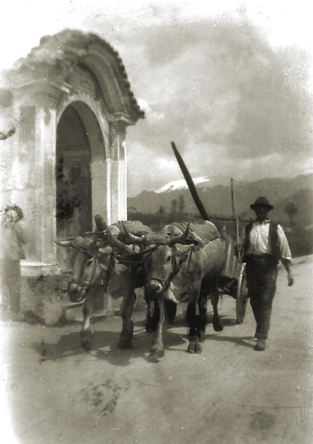 Carro con i buoi, Clusone · Historify