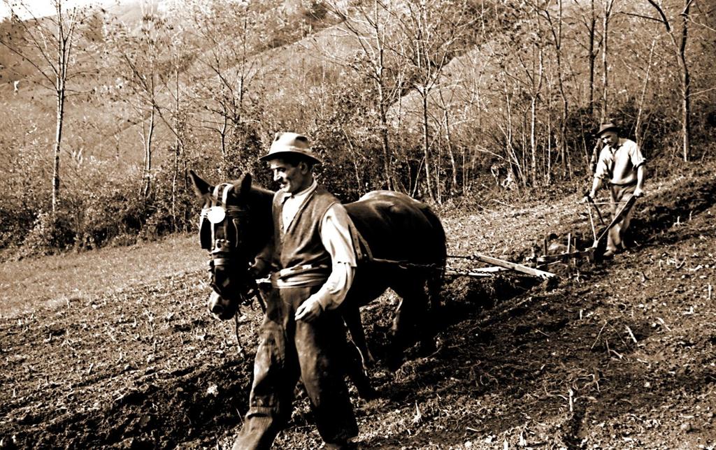 1960-Rovetta-Aratura In Poerza · Historify