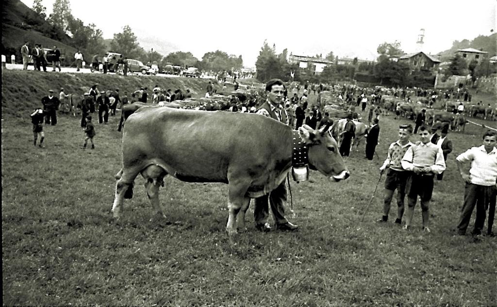 Mostra Agricola · Historify