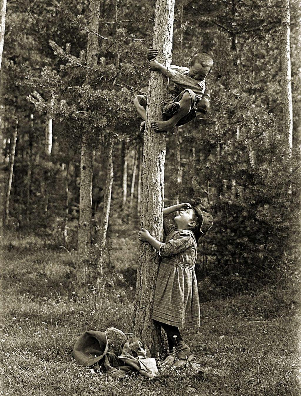 Giochi In Pineta · Historify
