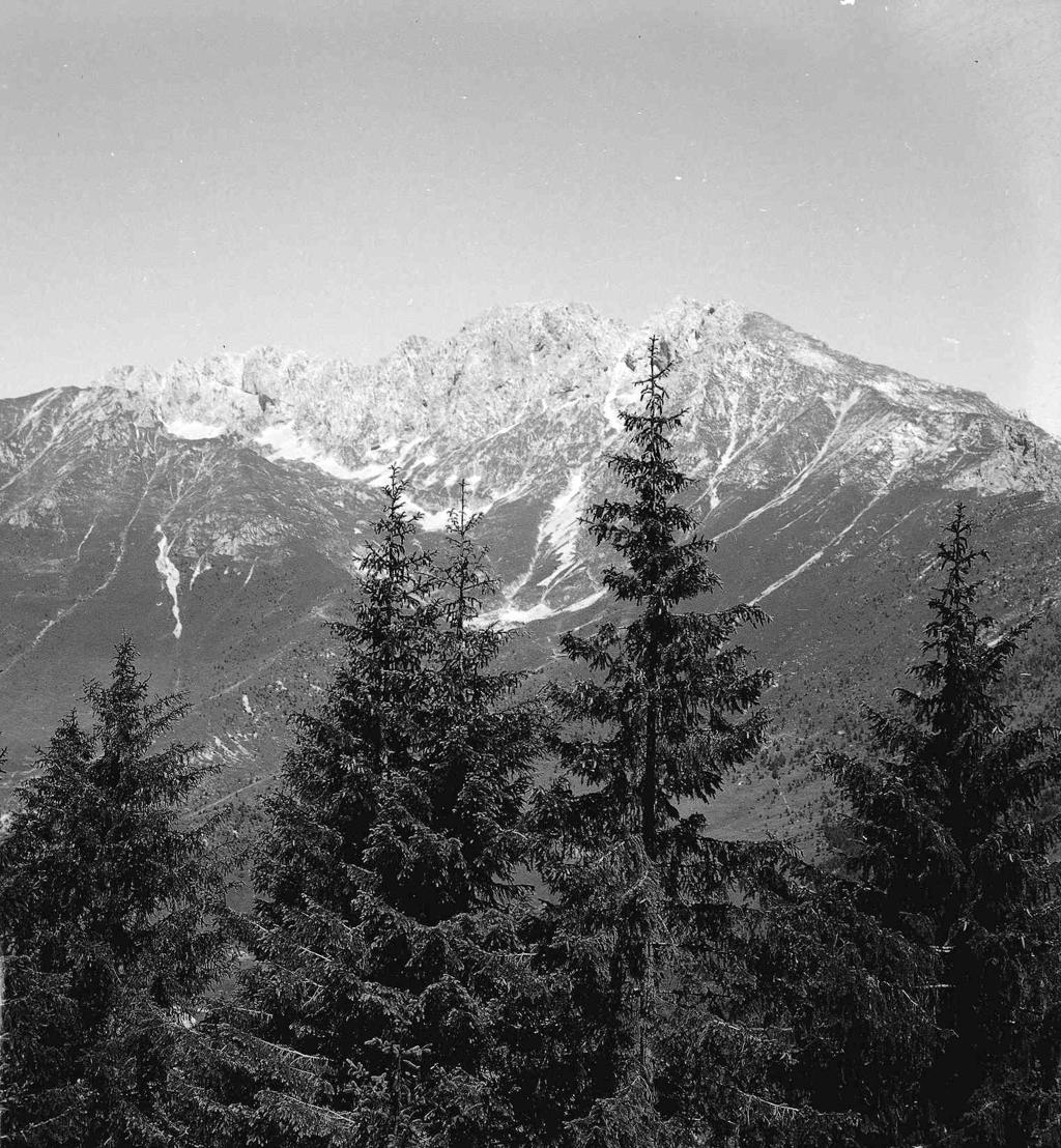 Montagne · Historify