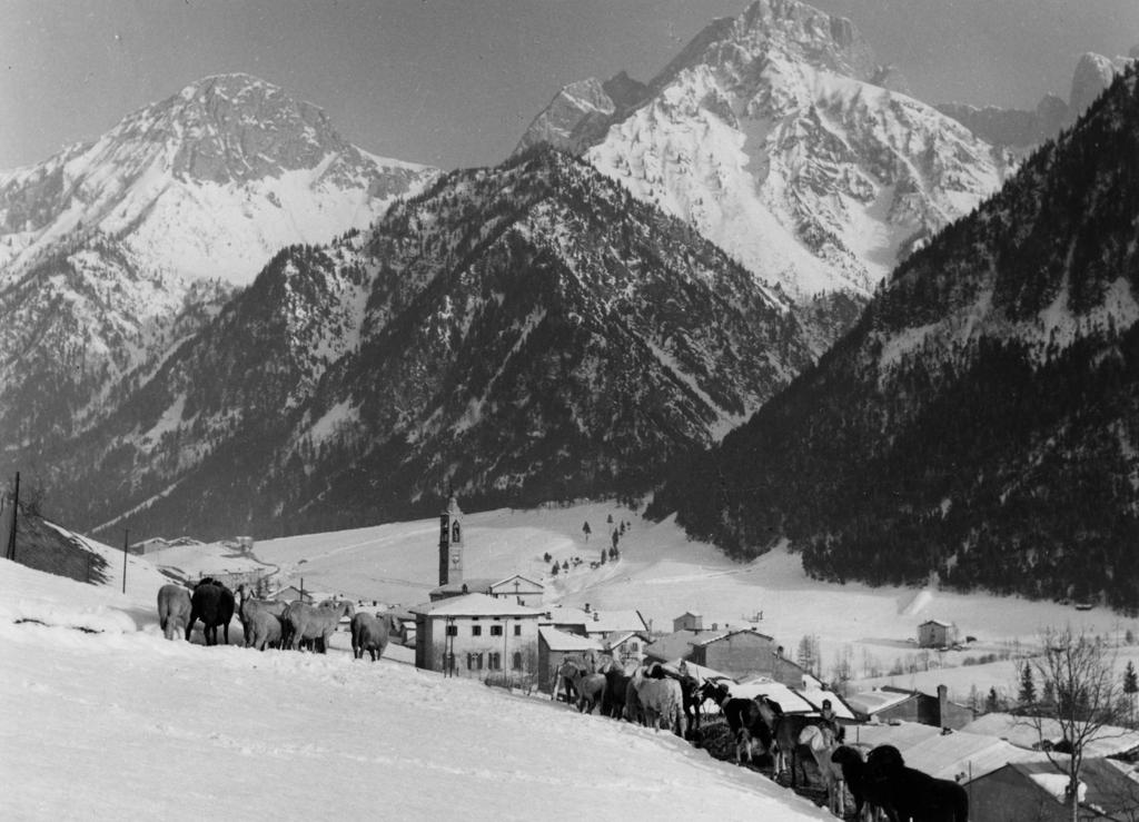 Pecorelle In Montagna · Historify