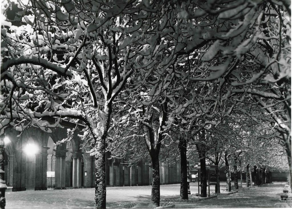 Sentierone Innevato · Historify