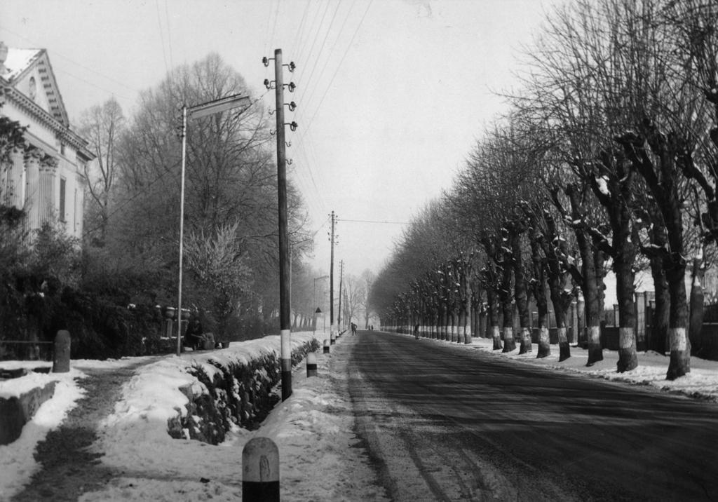 Viale Alberato · Historify
