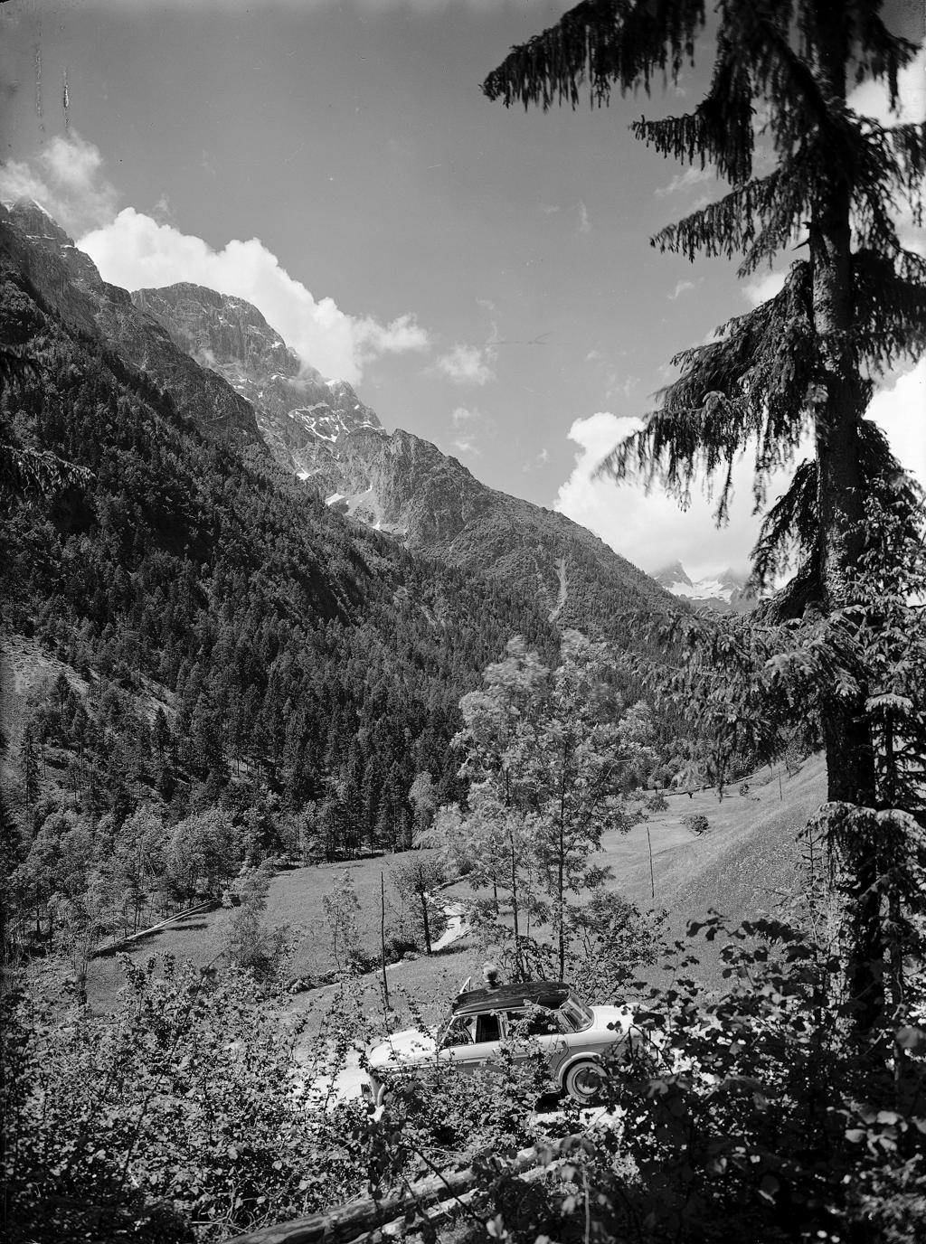 Paesaggio, Alberi · Historify