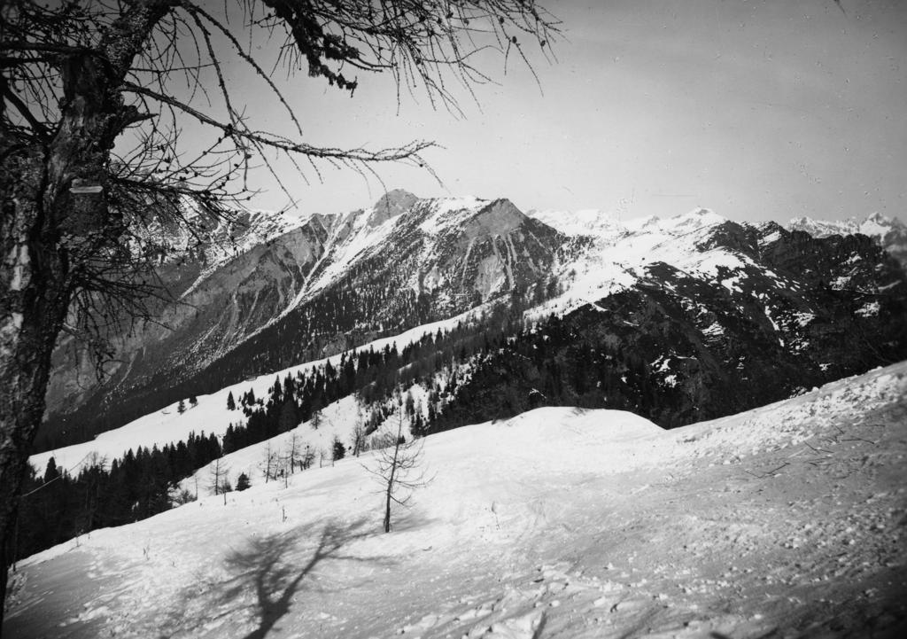 Paesaggio Innevato · Historify