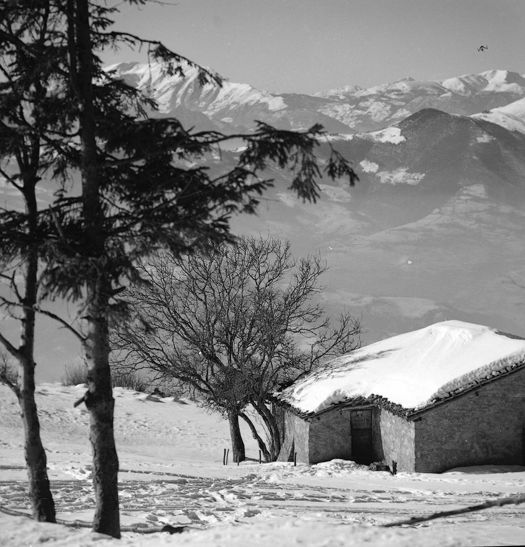Montagne Sullo Sfondo · Historify