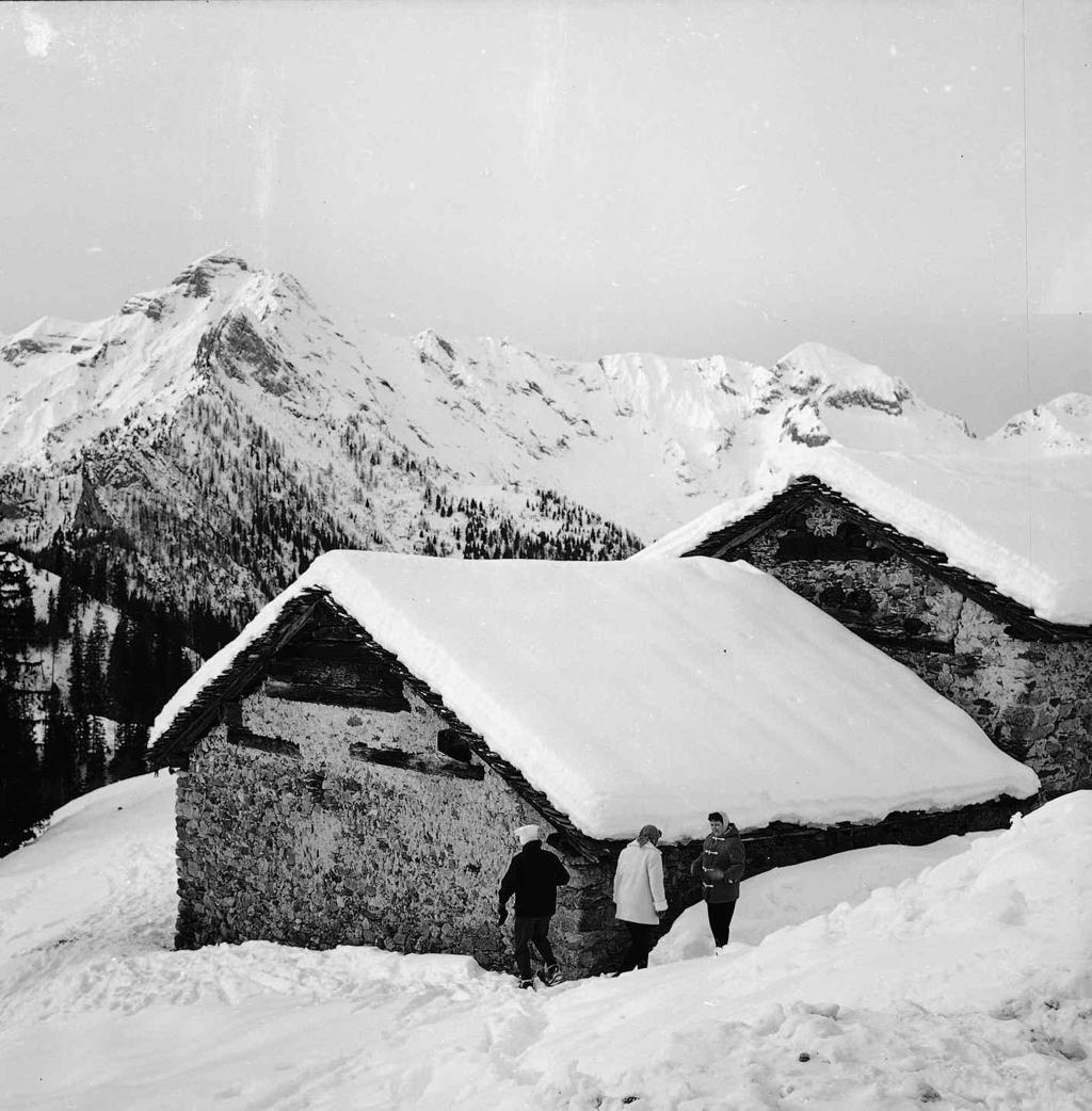 Escursionisti al rifugio · Historify