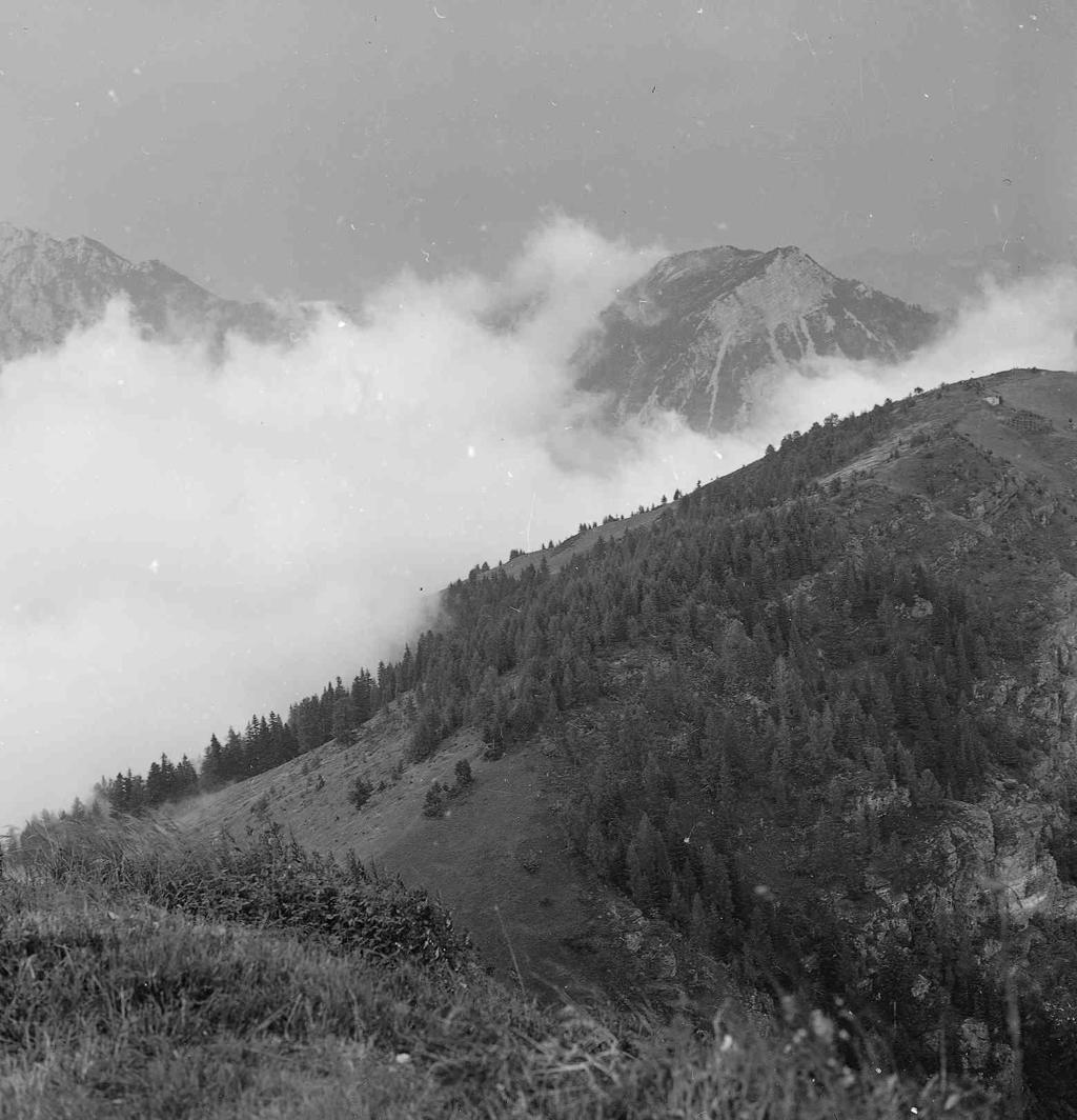 Montagne · Historify