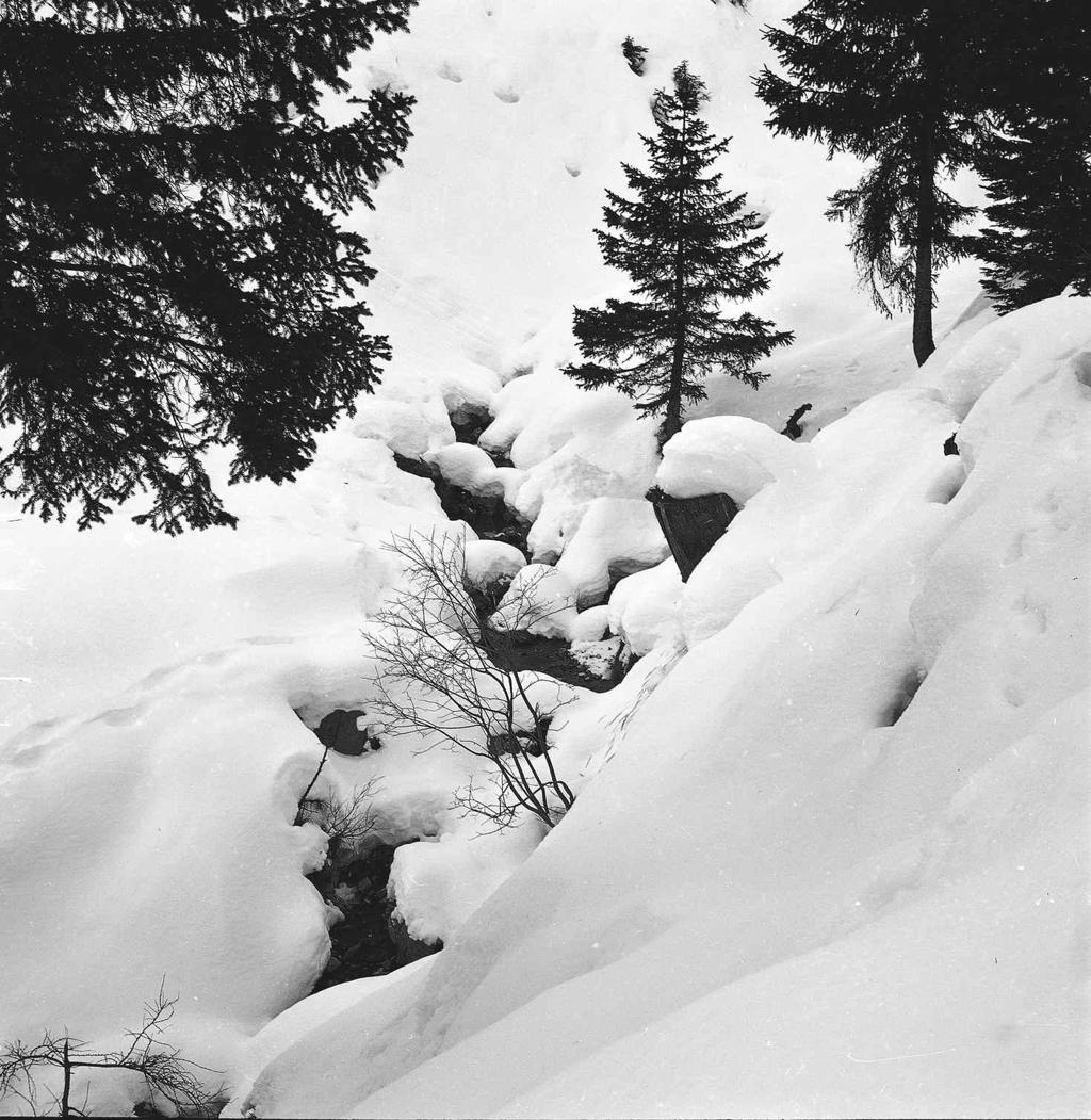 Paesaggio · Historify