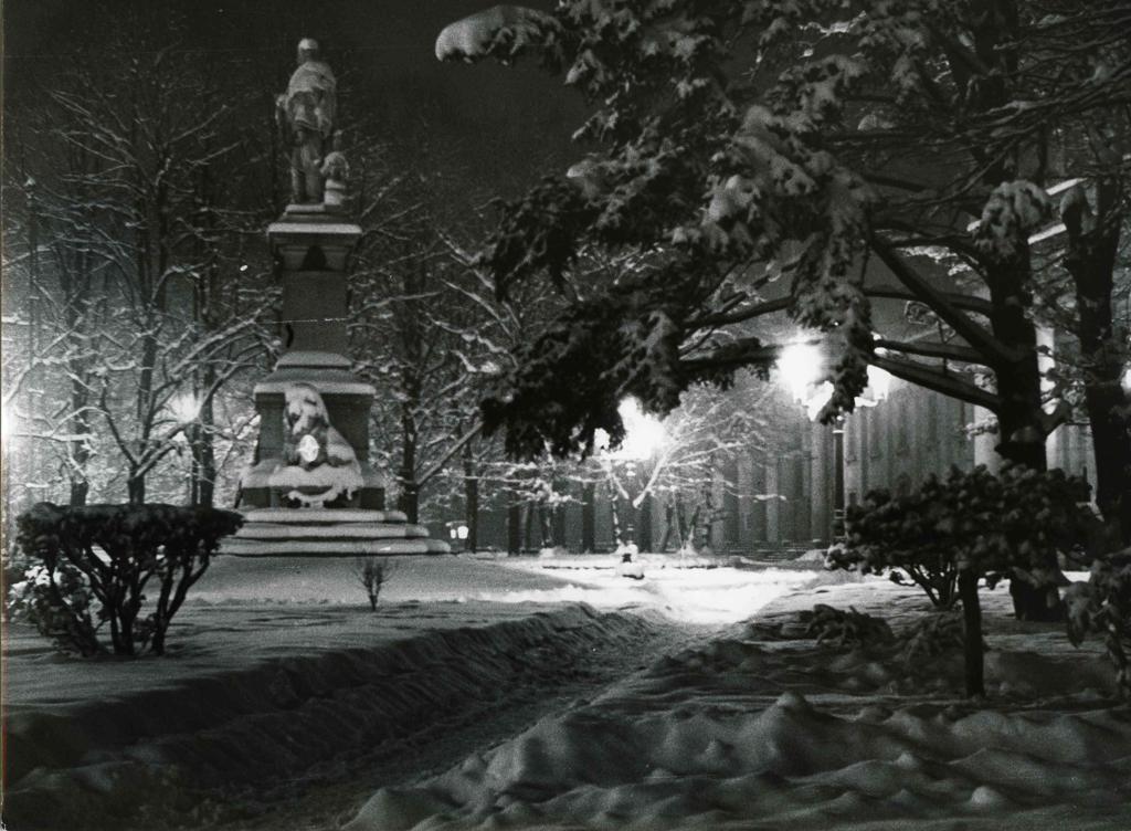 Neve In Piazza Matteotti · Historify