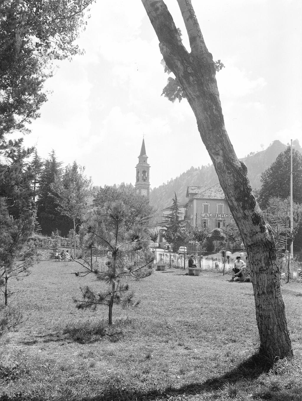Alberi, Paese Sullo Sfondo · Historify