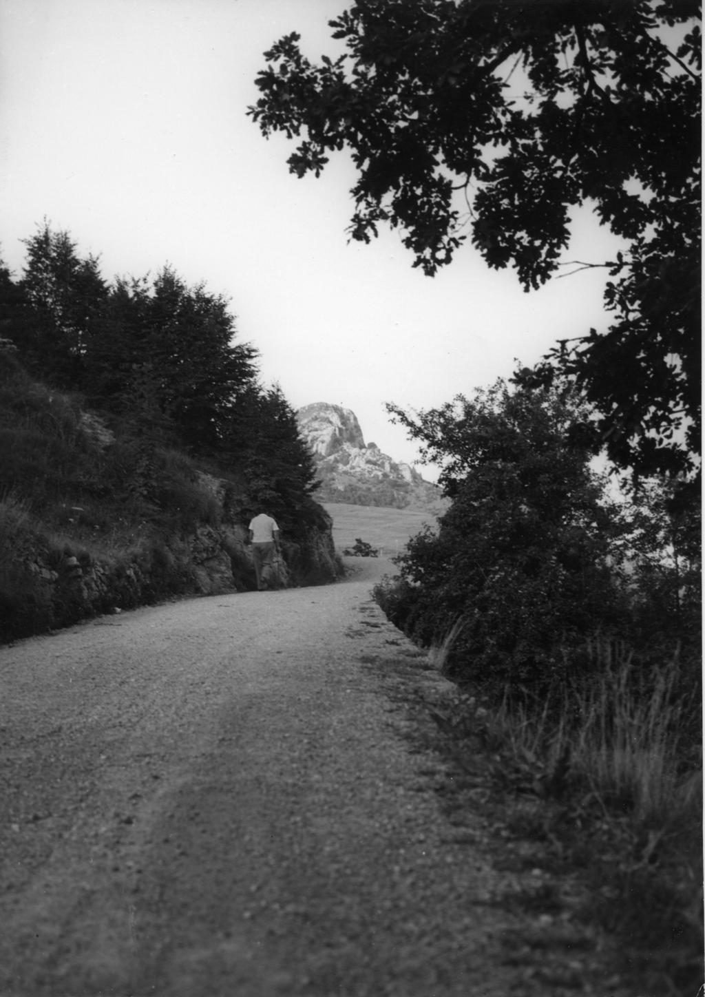 Strade Di Selvino · Historify