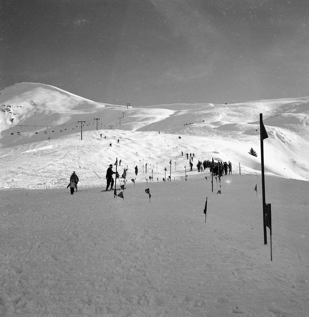 Piste Da Sci · Historify