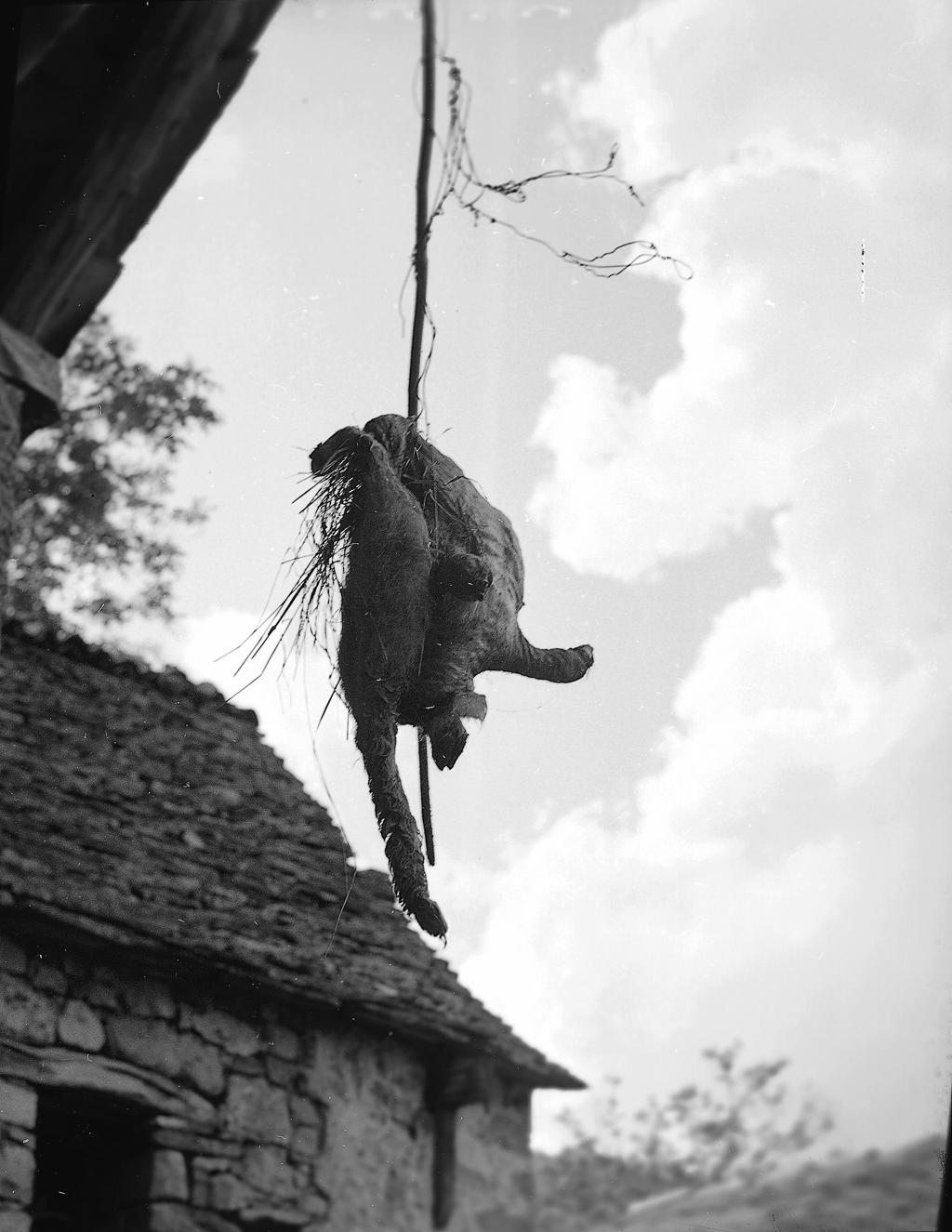 Preda · Historify