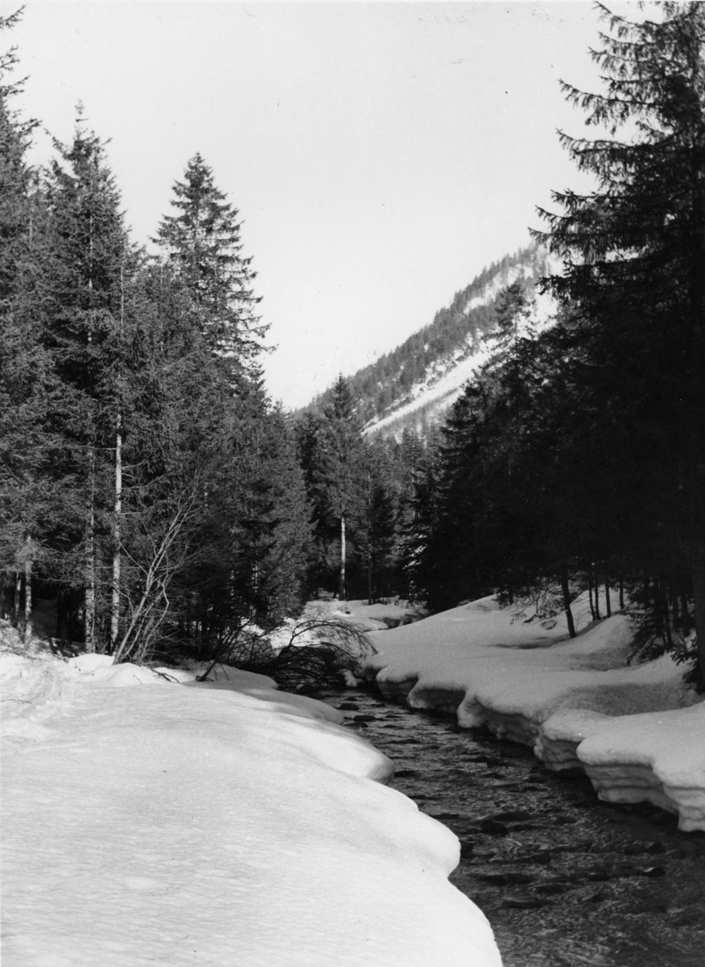 Ruscello Tra La Neve · Historify