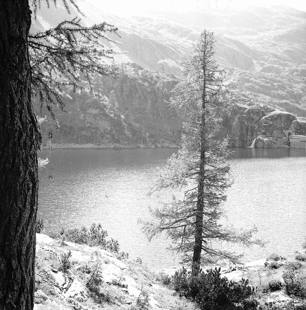 Paesaggio lacustre innevato · Historify