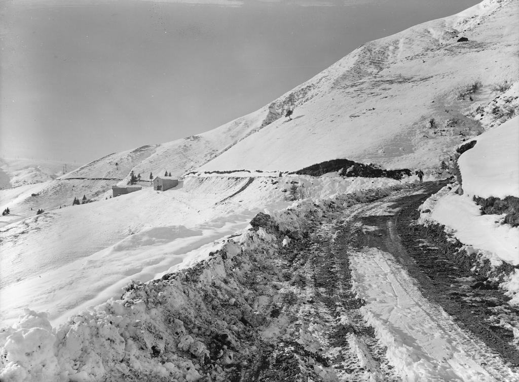 Strada In Montagna · Historify