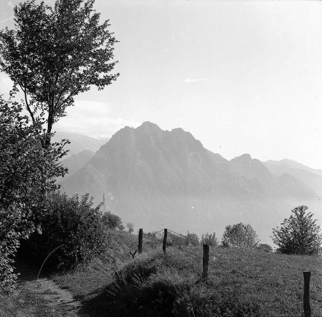 Paesaggio Montano · Historify