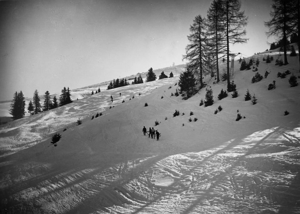Passeggiata In Montagna · Historify