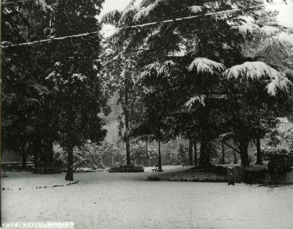 Porta Nuova Sotto La Neve, Bergamo · Historify