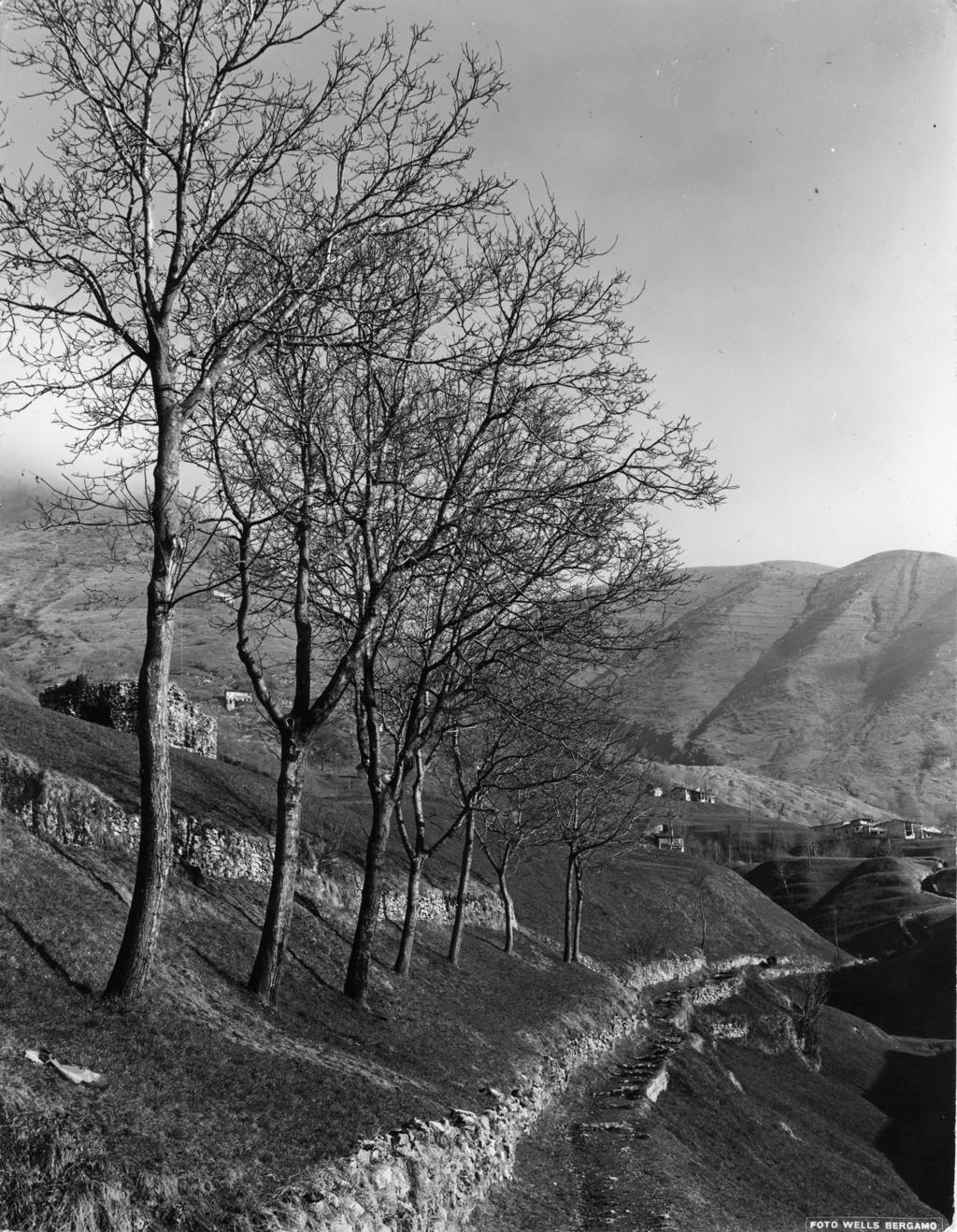 Paesaggio a Gandino · Historify