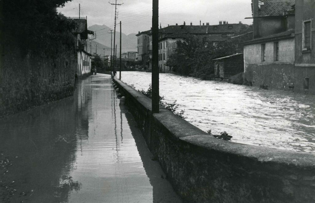 Torrente Morla · Historify