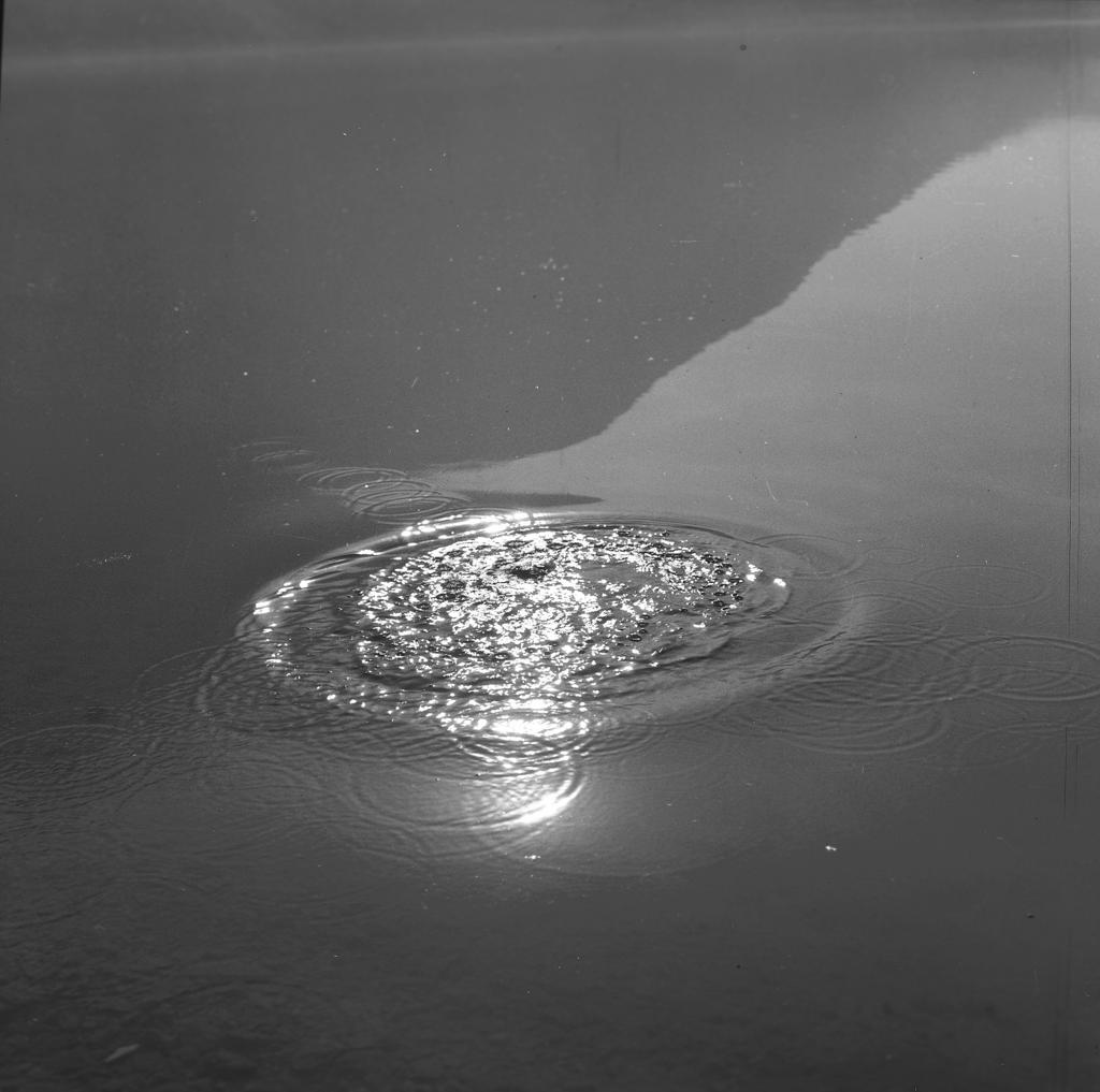 Goccia nell'acqua · Historify