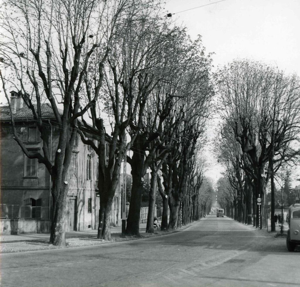 Viale Vittorio Emanuele II con alberi spogli · Historify