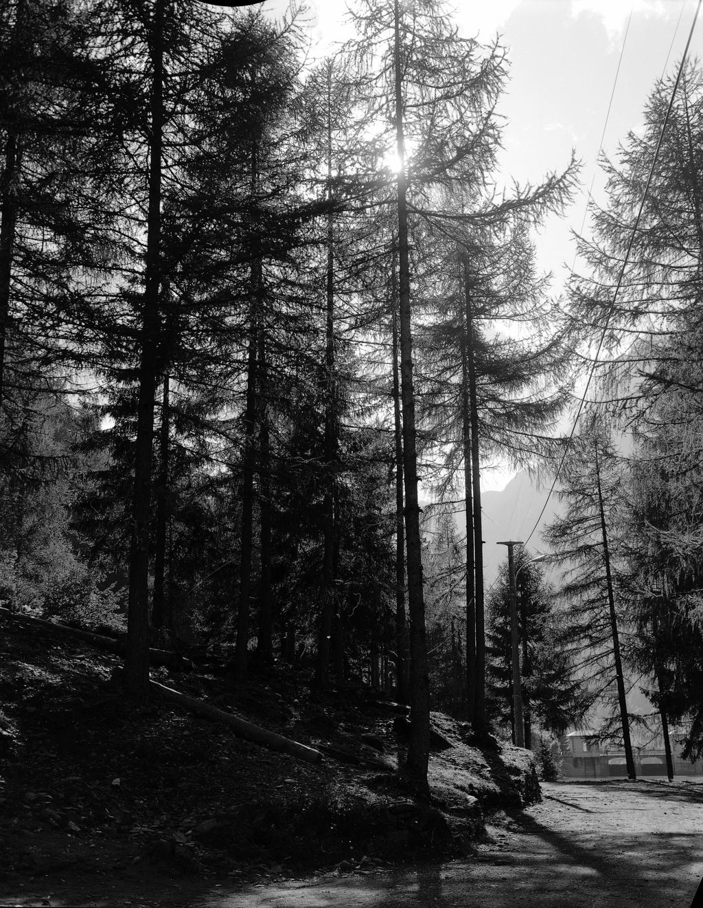 Paesaggio Con Lago · Historify