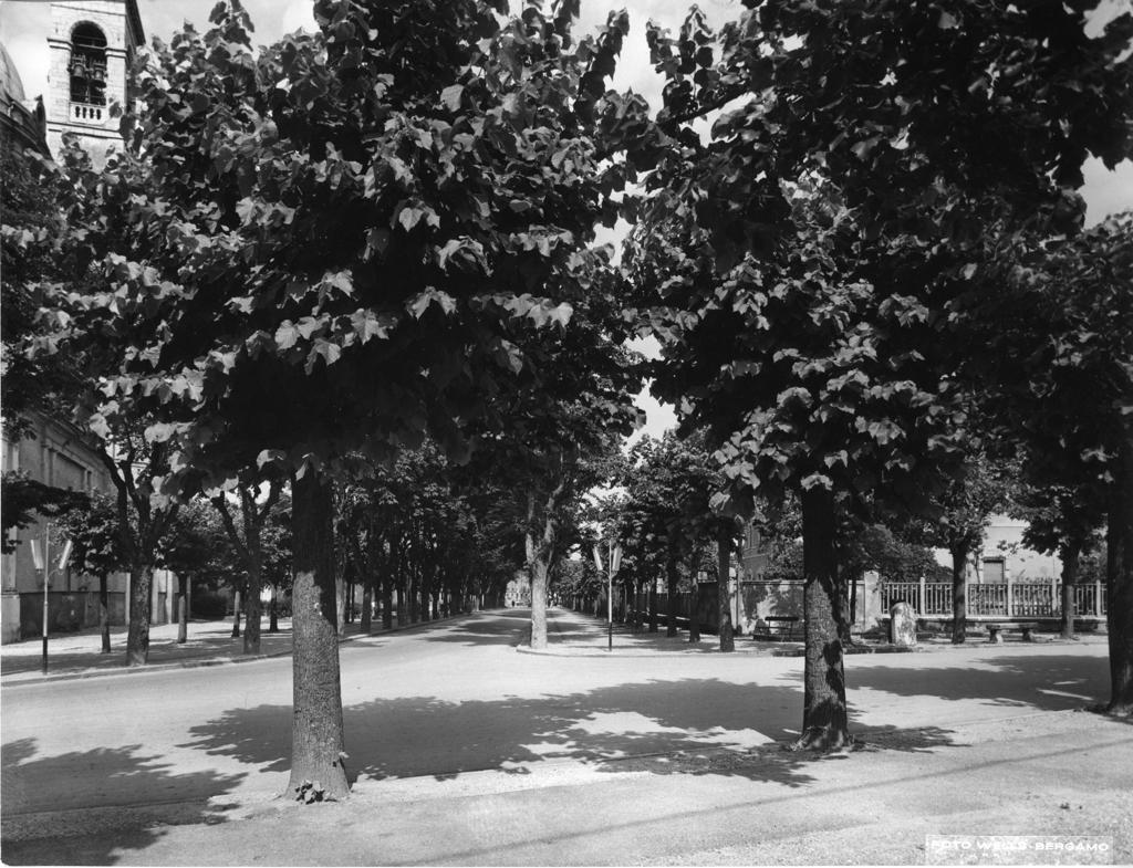 Viale Alberato a Trescore · Historify