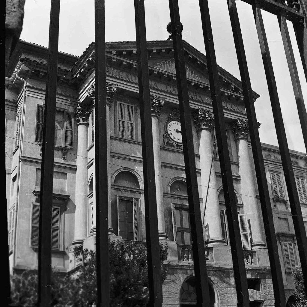 Accademia Carrara · Historify