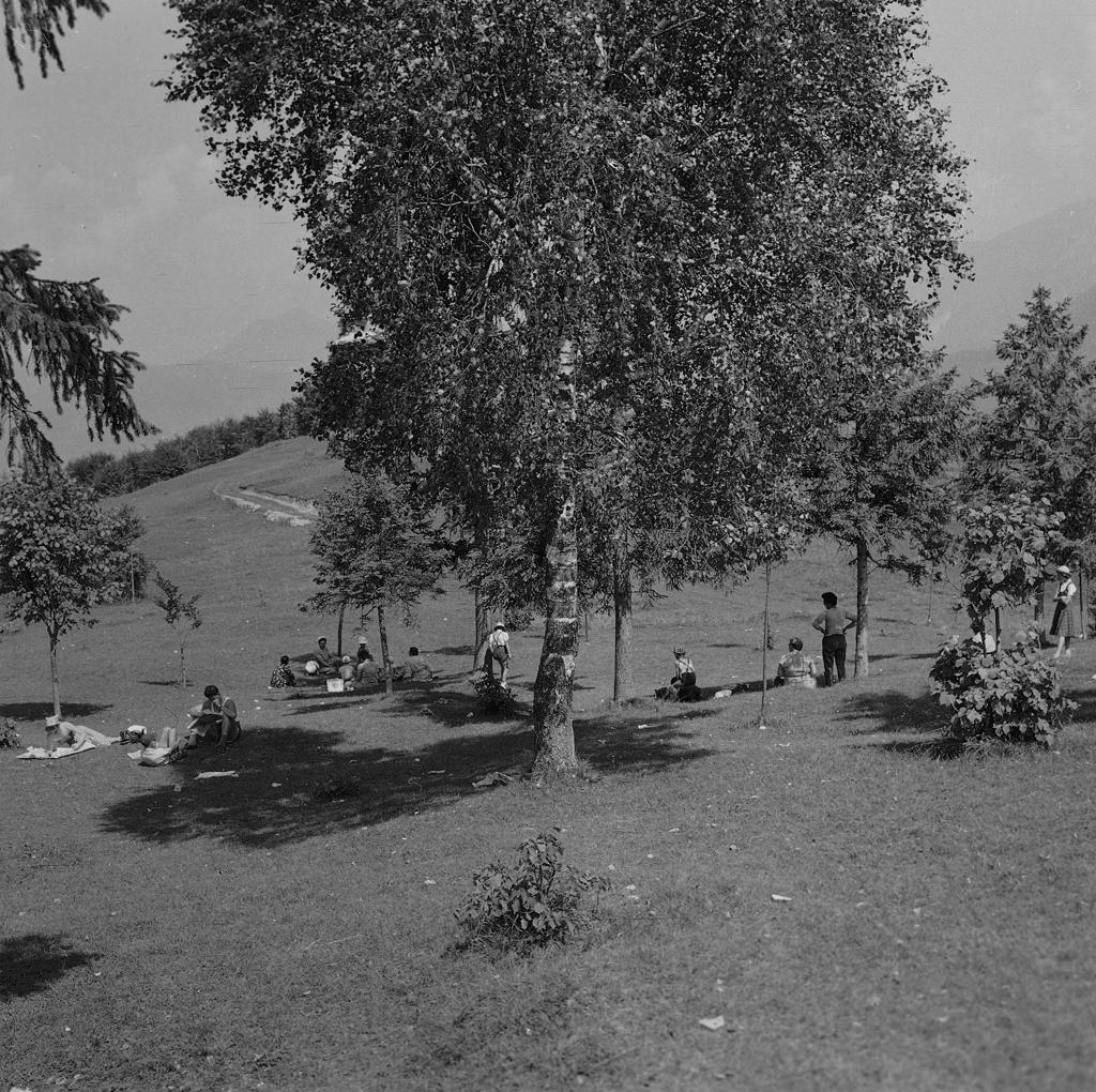 Parco Con Persone · Historify